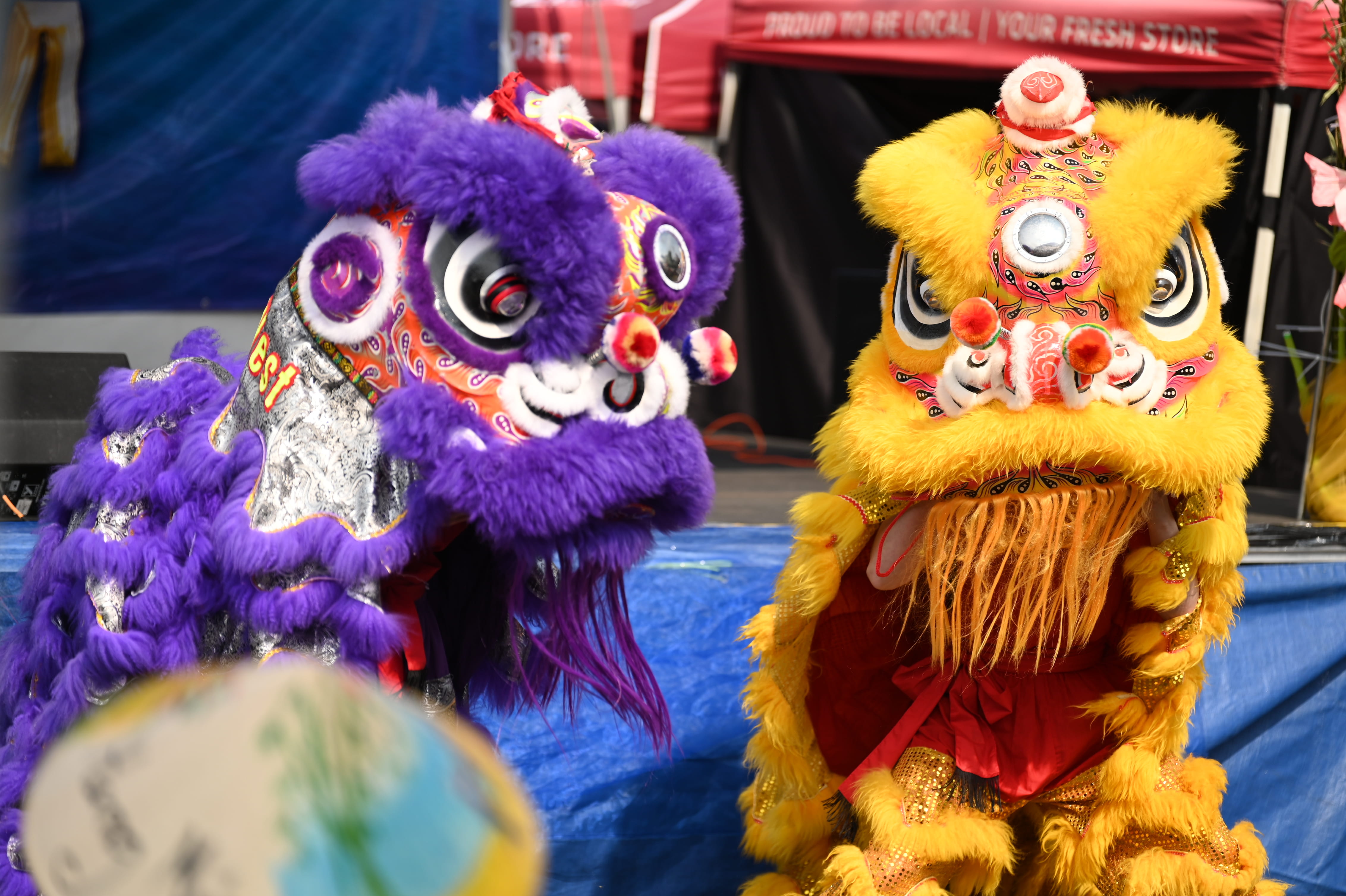BUILT BY THE COMMUNITY, FOR THE COMMUNITY: SOUL OF VIETNAM RETURNS TO VICTORIA’S INNER HARBOUR FOR ITS SECOND YEAR